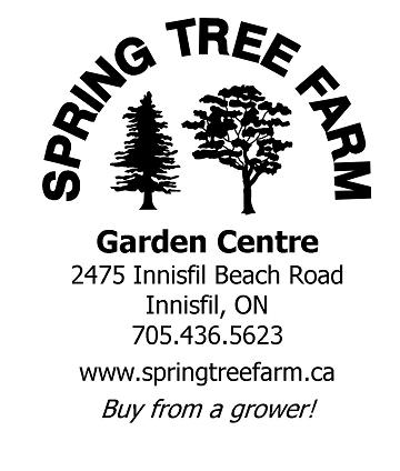 Spring Tree Farm Corp