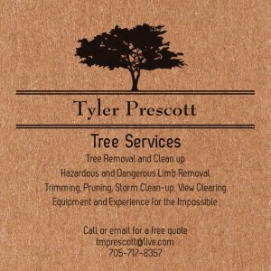 Tyler's Tree Services