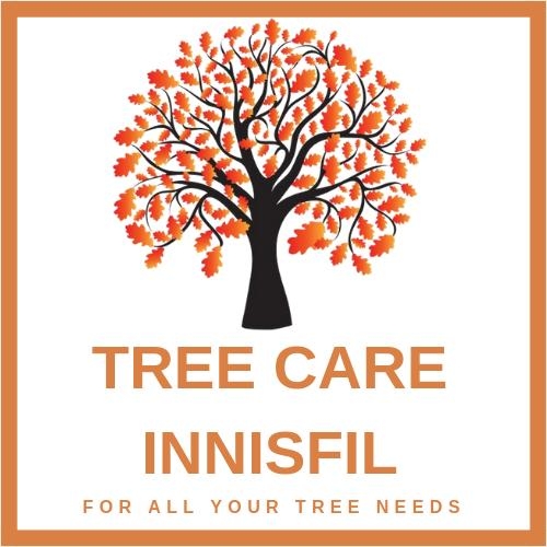 Tree Care Innisfil